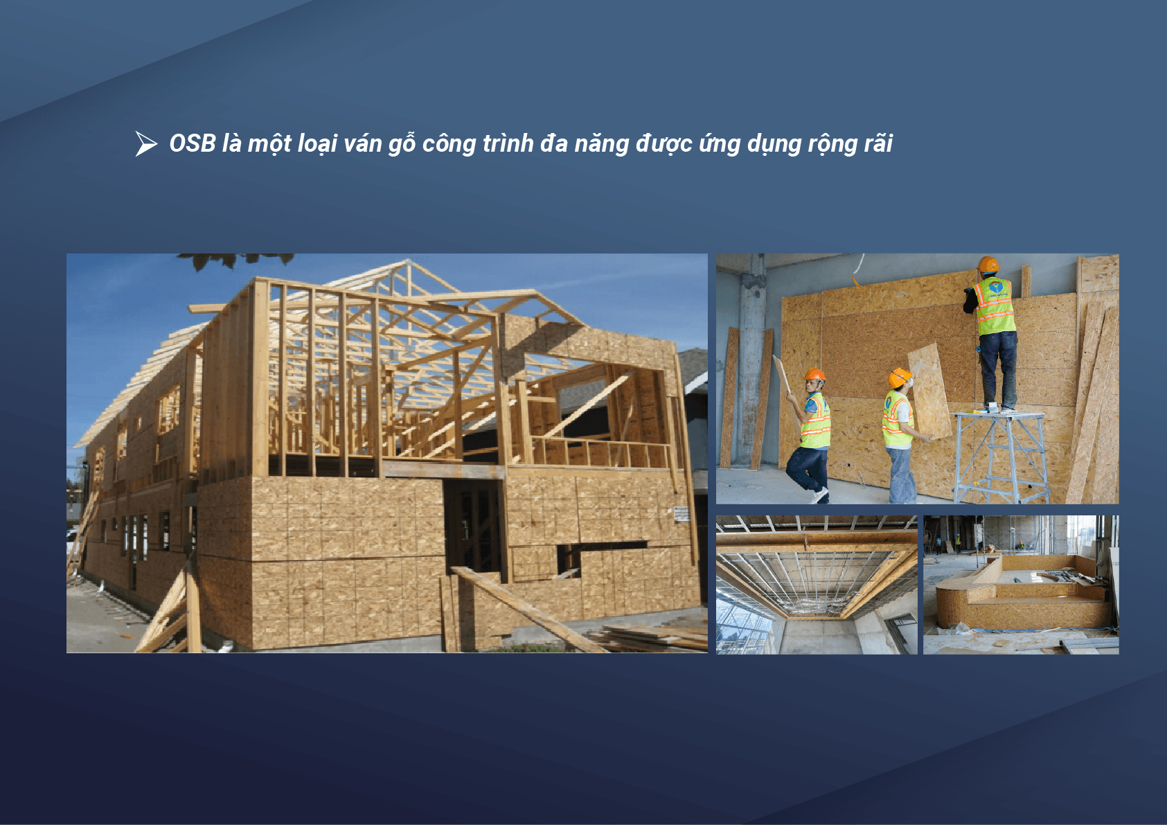 Artboard 1 copy 6OSB.png