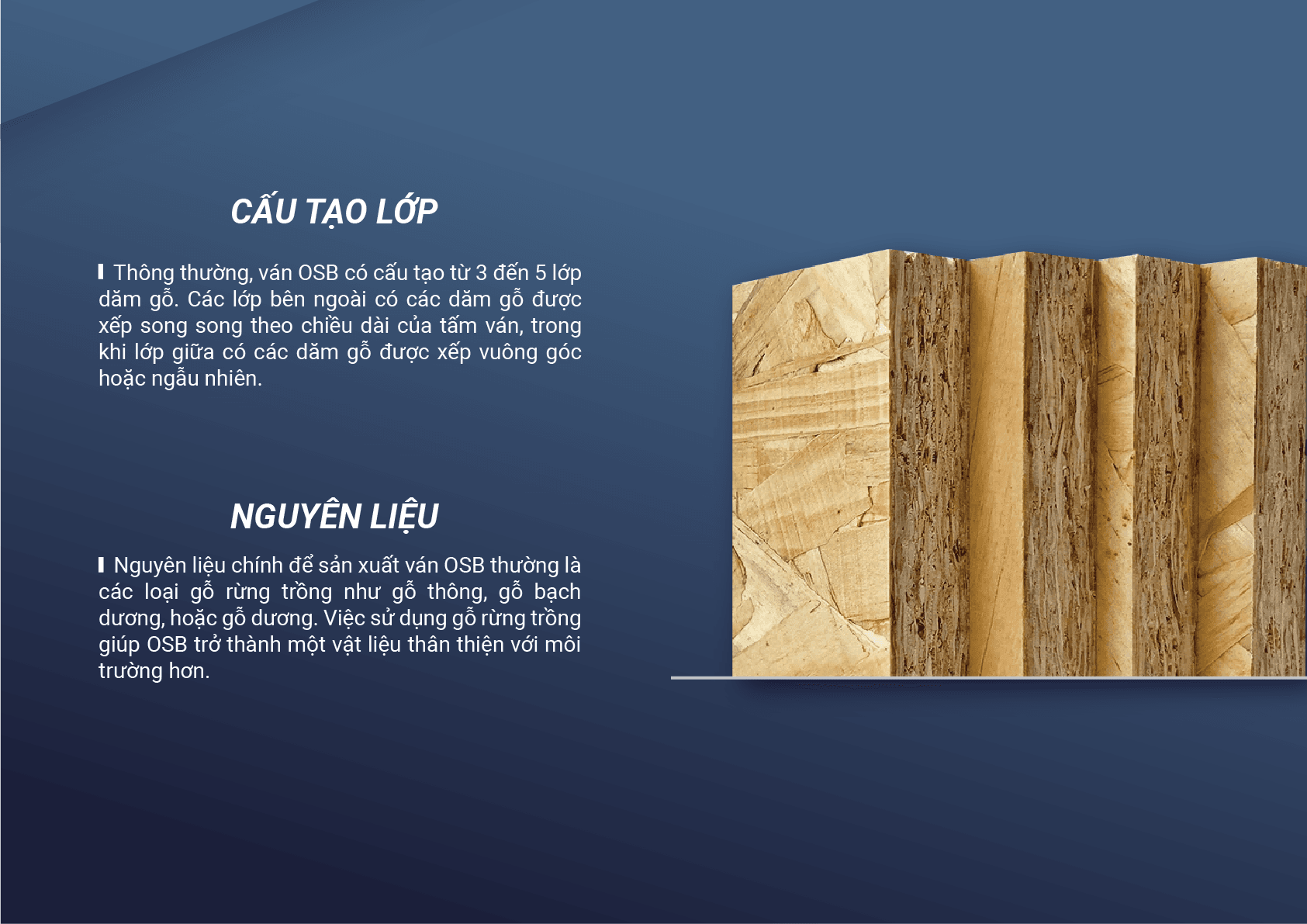 Cấu tạo và thành phần của ván gỗ