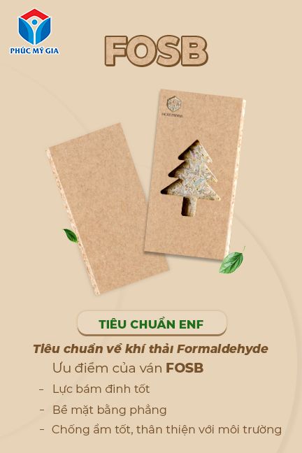 fix size ảnh 432x648 mục web FoSB.jpg