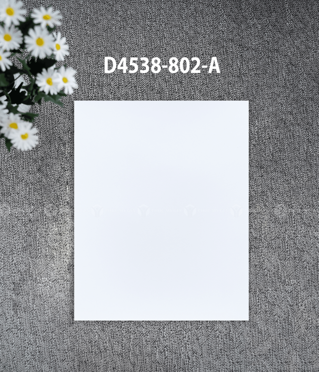 D4538-802-A.png