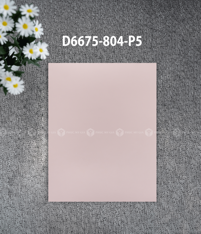 D6675-804-P5.png