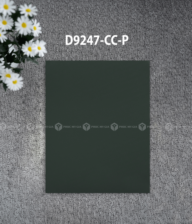 D9247-CC-P.png