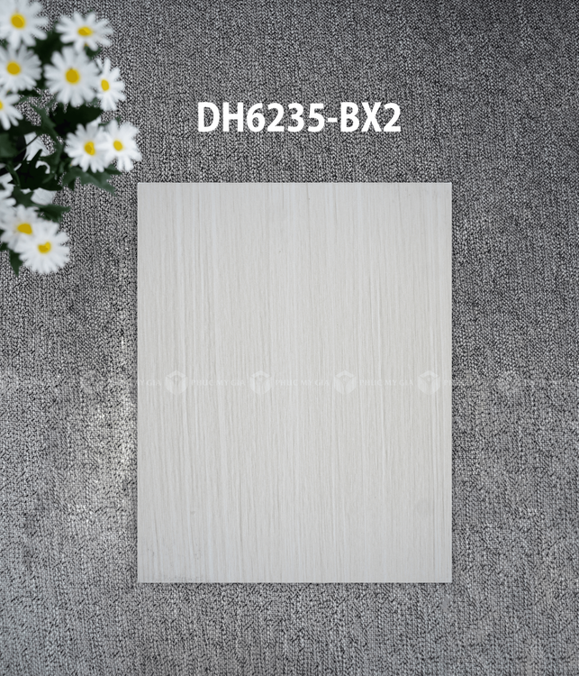 DH6235-BX2.png