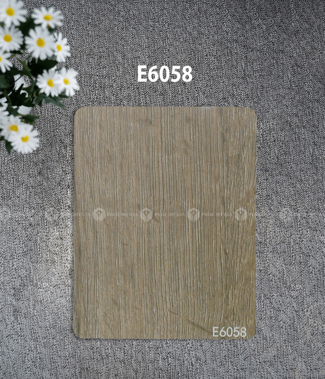 E6058.png
