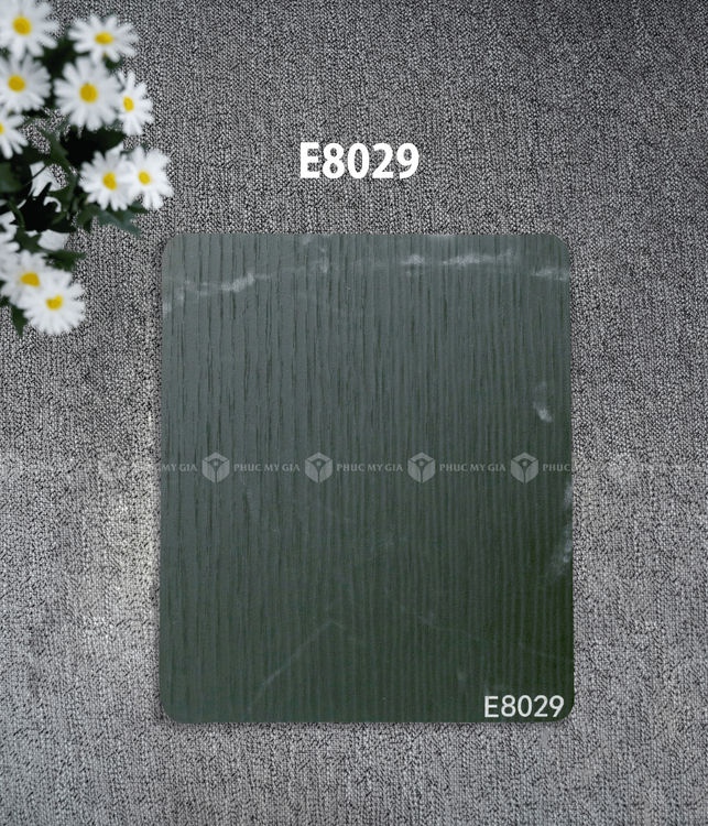 E8029.png