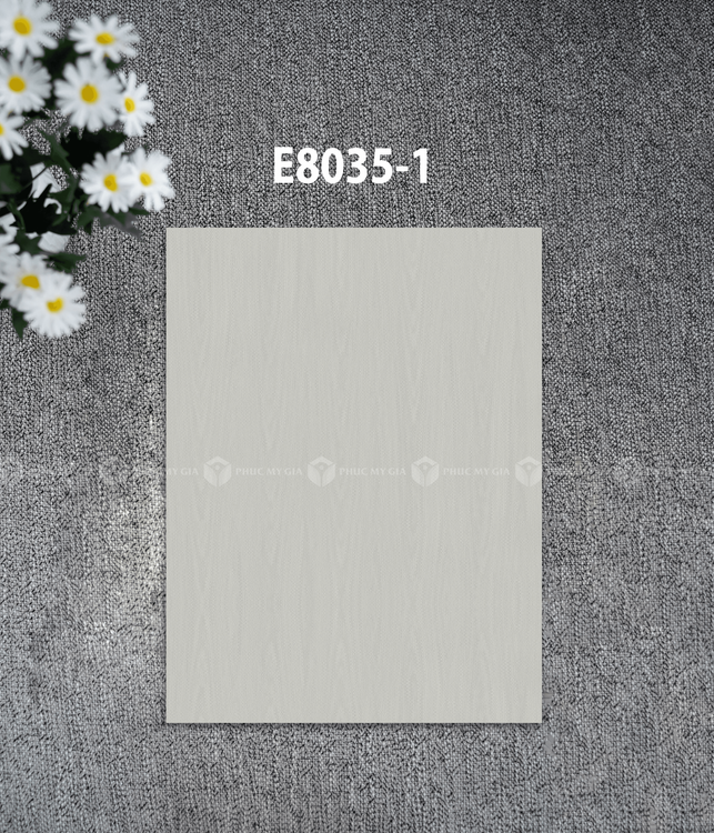 E8035-1.png