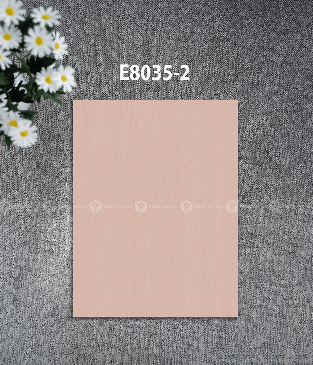 E8035-2.png
