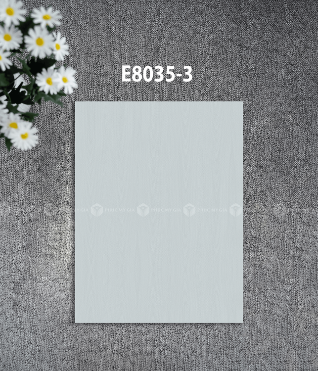 E8035-3.png