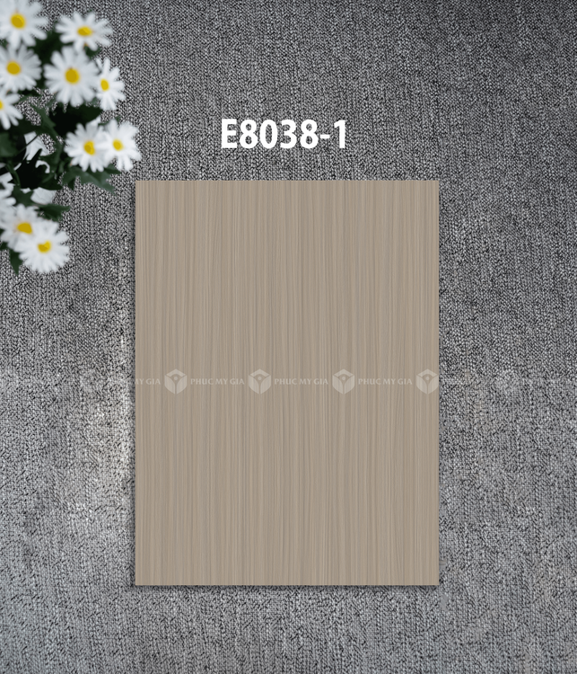 E8038-1.png