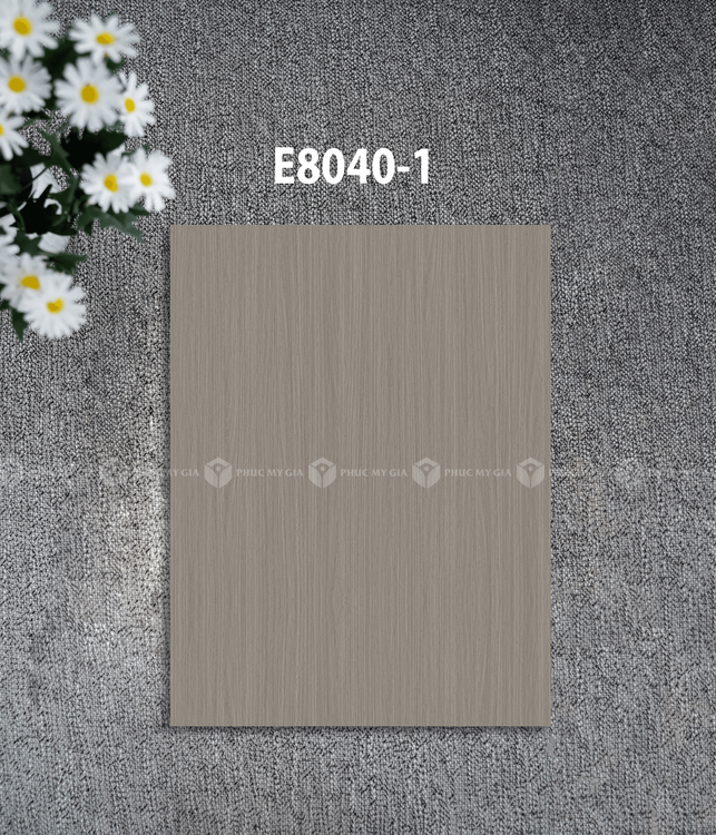 E8040-1.png
