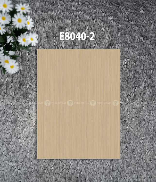 E8040-2.png