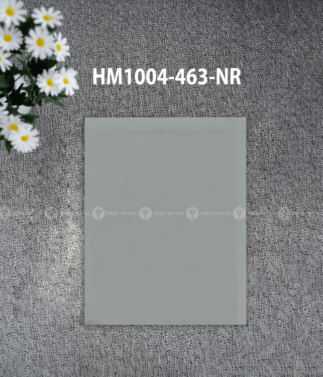 HM1004-463-NR.png
