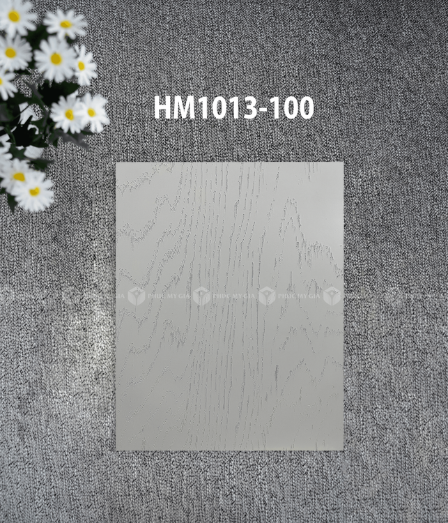 HM1013-100.png