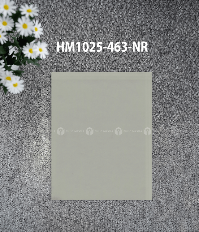 HM1025-463-NR.png