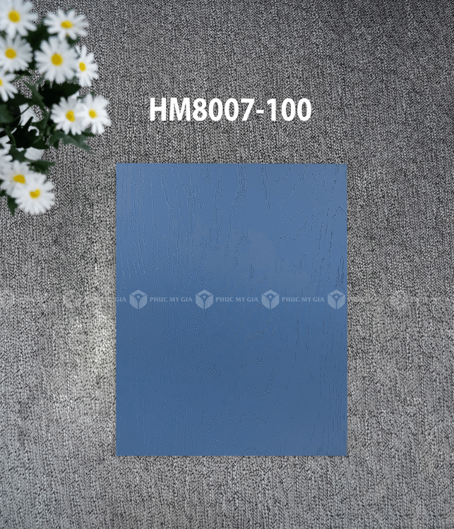 HM8007-100.png