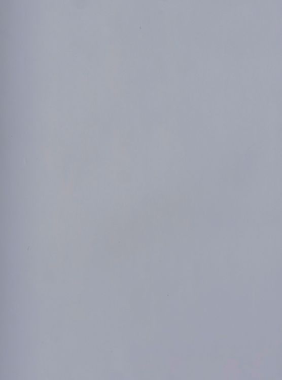 PET HL625-M.jpg PET HL625-M.jpg