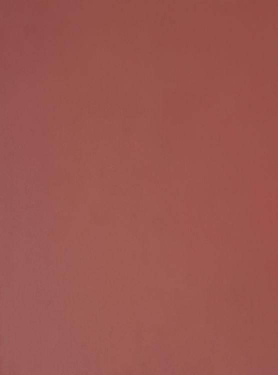 PET HL980-M.jpg PET HL980-M.jpg