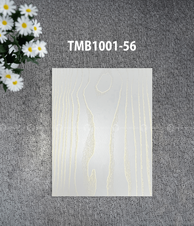 TMB1001-56.png