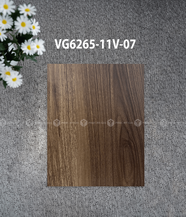 VG6265-11V-07.png