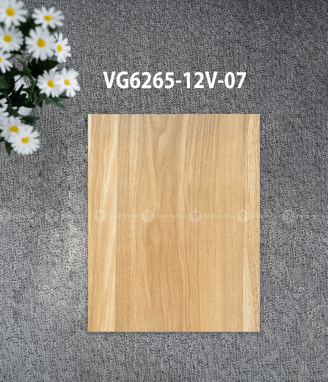 VG6265-12V-07.png