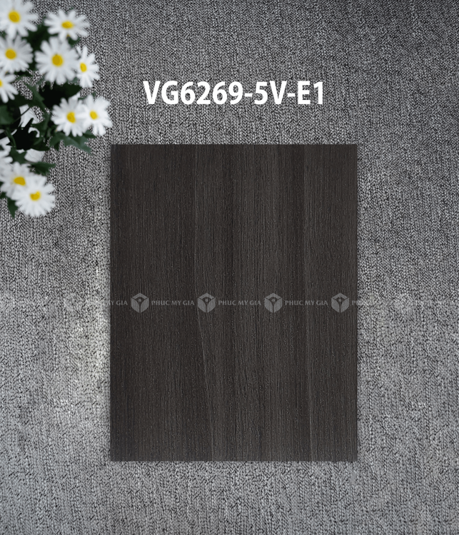 VG6269-5V-E1.png