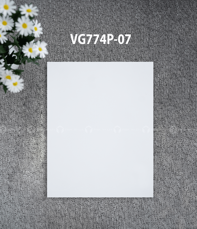 VG774P-07.png