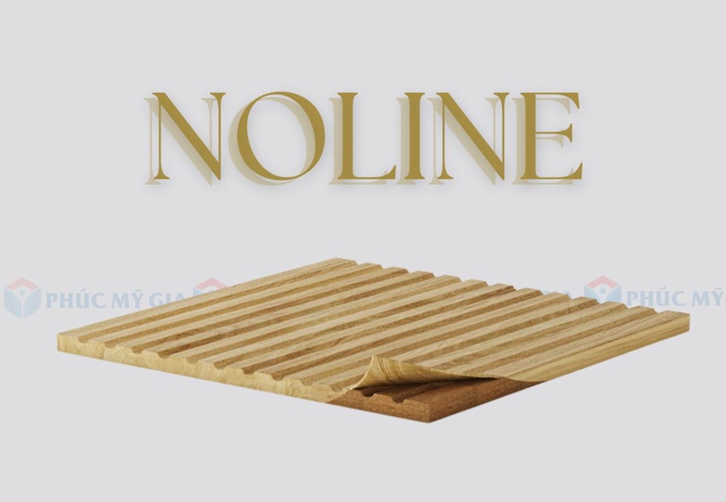 noline.jpg